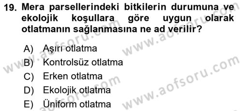 Ekoloji ve Çevre Bilgisi Dersi 2022 - 2023 Yılı (Vize) Ara Sınav Soruları 19. Soru