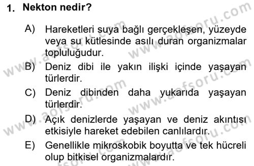 Ekoloji ve Çevre Bilgisi Dersi 2022 - 2023 Yılı Yaz Okulu Sınav Soruları 1. Soru