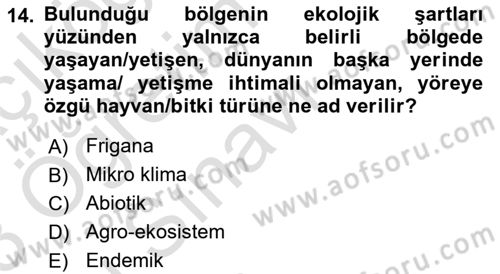 Ekoloji ve Çevre Bilgisi Dersi 2022 - 2023 Yılı Yaz Okulu Sınav Soruları 14. Soru