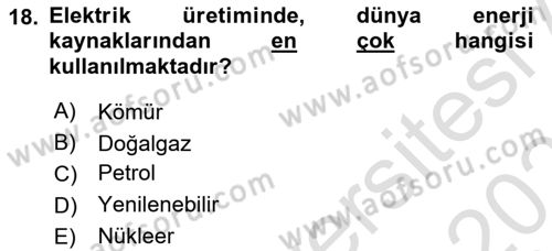 Ekoloji ve Çevre Bilgisi Dersi 2022 - 2023 Yılı Yaz Okulu Sınav Soruları 18. Soru