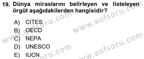 Ekoloji ve Çevre Bilgisi Dersi 2022 - 2023 Yılı Yaz Okulu Sınav Soruları 19. Soru