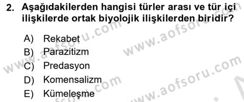 Ekoloji ve Çevre Bilgisi Dersi 2022 - 2023 Yılı Yaz Okulu Sınav Soruları 2. Soru