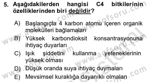 Ekoloji ve Çevre Bilgisi Dersi 2022 - 2023 Yılı Yaz Okulu Sınav Soruları 5. Soru