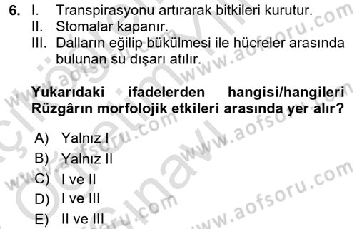 Ekoloji ve Çevre Bilgisi Dersi 2022 - 2023 Yılı Yaz Okulu Sınav Soruları 6. Soru