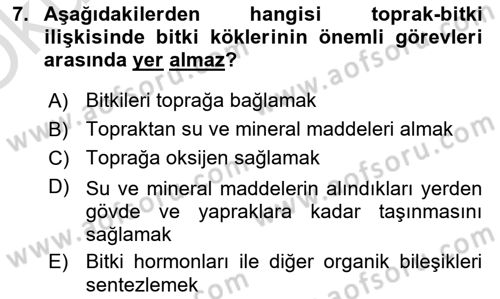 Ekoloji ve Çevre Bilgisi Dersi 2022 - 2023 Yılı Yaz Okulu Sınav Soruları 7. Soru