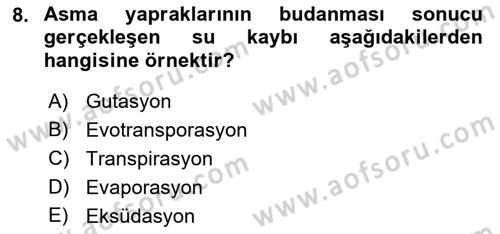Ekoloji ve Çevre Bilgisi Dersi 2022 - 2023 Yılı Yaz Okulu Sınav Soruları 8. Soru