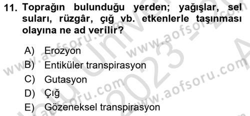Ekoloji ve Çevre Bilgisi Dersi 2023 - 2024 Yılı (Vize) Ara Sınav Soruları 11. Soru
