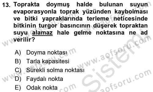 Ekoloji ve Çevre Bilgisi Dersi 2023 - 2024 Yılı (Vize) Ara Sınav Soruları 13. Soru
