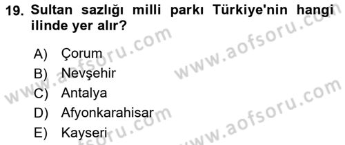 Ekoloji ve Çevre Bilgisi Dersi 2023 - 2024 Yılı (Final) Dönem Sonu Sınav Soruları 19. Soru