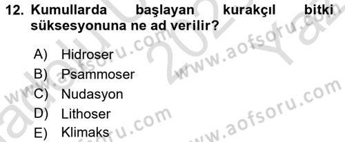 Ekoloji ve Çevre Bilgisi Dersi 2023 - 2024 Yılı Yaz Okulu Sınav Soruları 12. Soru