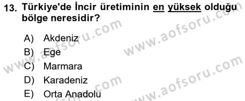 Ekoloji ve Çevre Bilgisi Dersi 2023 - 2024 Yılı Yaz Okulu Sınav Soruları 13. Soru