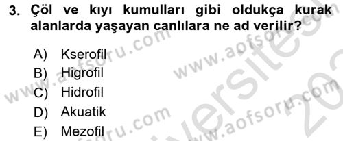Ekoloji ve Çevre Bilgisi Dersi 2023 - 2024 Yılı Yaz Okulu Sınav Soruları 3. Soru