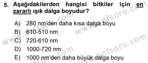Ekoloji ve Çevre Bilgisi Dersi 2023 - 2024 Yılı Yaz Okulu Sınav Soruları 5. Soru