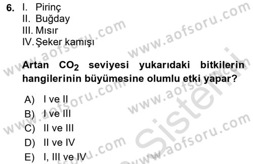 Ekoloji ve Çevre Bilgisi Dersi 2023 - 2024 Yılı Yaz Okulu Sınav Soruları 6. Soru