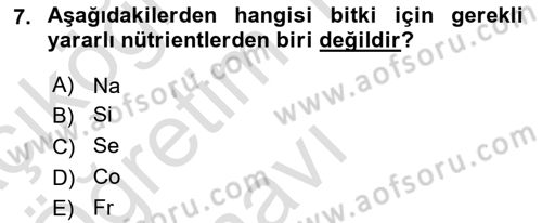 Ekoloji ve Çevre Bilgisi Dersi 2023 - 2024 Yılı Yaz Okulu Sınav Soruları 7. Soru