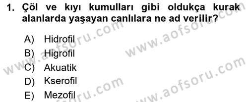 Ekoloji ve Çevre Bilgisi Dersi 2024 - 2025 Yılı (Vize) Ara Sınav Soruları 1. Soru