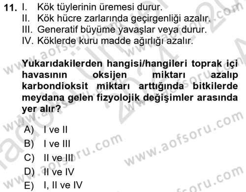Ekoloji ve Çevre Bilgisi Dersi 2024 - 2025 Yılı (Vize) Ara Sınav Soruları 11. Soru