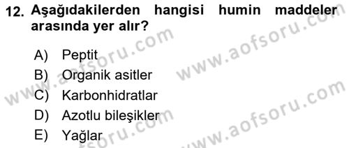 Ekoloji ve Çevre Bilgisi Dersi 2024 - 2025 Yılı (Vize) Ara Sınav Soruları 12. Soru