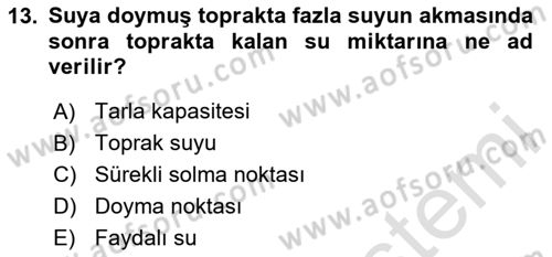 Ekoloji ve Çevre Bilgisi Dersi 2024 - 2025 Yılı (Vize) Ara Sınav Soruları 13. Soru