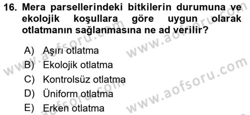Ekoloji ve Çevre Bilgisi Dersi 2024 - 2025 Yılı (Vize) Ara Sınav Soruları 16. Soru