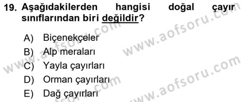 Ekoloji ve Çevre Bilgisi Dersi 2024 - 2025 Yılı (Vize) Ara Sınav Soruları 19. Soru