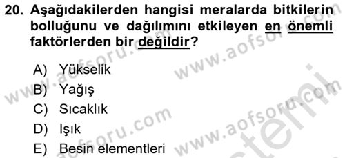 Ekoloji ve Çevre Bilgisi Dersi 2024 - 2025 Yılı (Vize) Ara Sınav Soruları 20. Soru