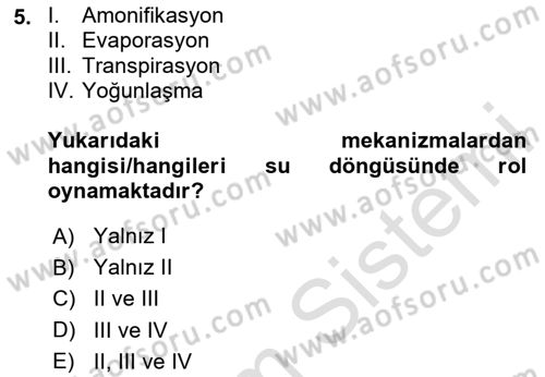 Ekoloji ve Çevre Bilgisi Dersi 2024 - 2025 Yılı (Vize) Ara Sınav Soruları 5. Soru