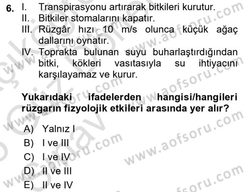 Ekoloji ve Çevre Bilgisi Dersi 2024 - 2025 Yılı (Vize) Ara Sınav Soruları 6. Soru