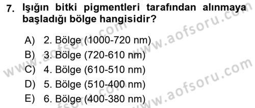Ekoloji ve Çevre Bilgisi Dersi Ara Sınavı Deneme Sınav Soruları 7. Soru