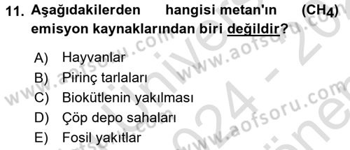 Ekoloji ve Çevre Bilgisi Dersi 2024 - 2025 Yılı (Final) Dönem Sonu Sınav Soruları 11. Soru
