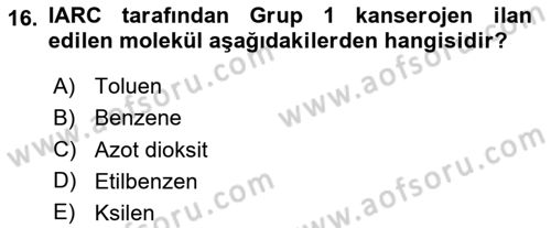Ekoloji ve Çevre Bilgisi Dersi 2024 - 2025 Yılı (Final) Dönem Sonu Sınav Soruları 16. Soru