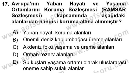 Ekoloji ve Çevre Bilgisi Dersi 2024 - 2025 Yılı (Final) Dönem Sonu Sınav Soruları 17. Soru