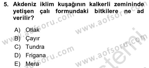 Ekoloji ve Çevre Bilgisi Dersi 2024 - 2025 Yılı (Final) Dönem Sonu Sınav Soruları 5. Soru