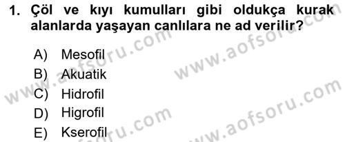 Ekoloji ve Çevre Bilgisi Dersi 2024 - 2025 Yılı Yaz Okulu Sınav Soruları 1. Soru