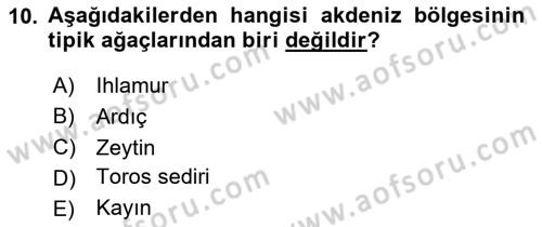 Ekoloji ve Çevre Bilgisi Dersi 2024 - 2025 Yılı Yaz Okulu Sınav Soruları 10. Soru