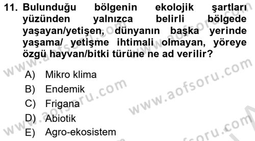 Ekoloji ve Çevre Bilgisi Dersi 2024 - 2025 Yılı Yaz Okulu Sınav Soruları 11. Soru