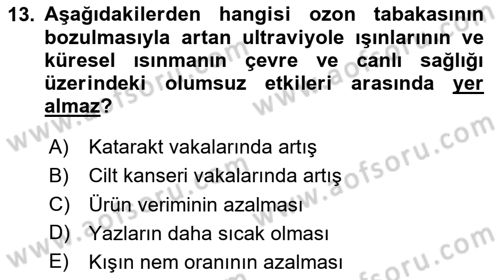 Ekoloji ve Çevre Bilgisi Dersi 2024 - 2025 Yılı Yaz Okulu Sınav Soruları 13. Soru