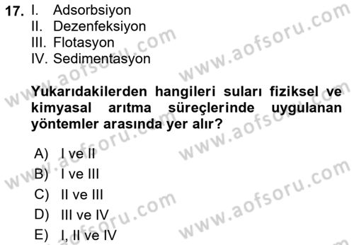Ekoloji ve Çevre Bilgisi Dersi 2024 - 2025 Yılı Yaz Okulu Sınav Soruları 17. Soru