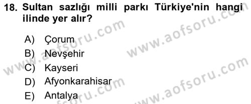 Ekoloji ve Çevre Bilgisi Dersi 2024 - 2025 Yılı Yaz Okulu Sınav Soruları 18. Soru
