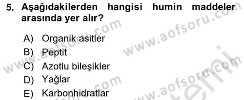 Ekoloji ve Çevre Bilgisi Dersi 2024 - 2025 Yılı Yaz Okulu Sınav Soruları 5. Soru
