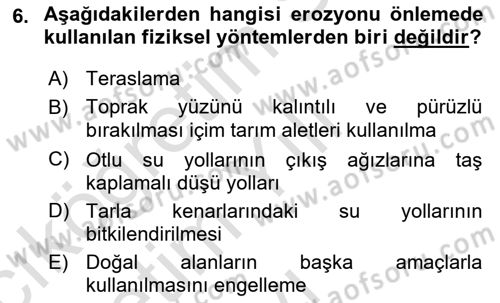 Ekoloji ve Çevre Bilgisi Dersi 2024 - 2025 Yılı Yaz Okulu Sınav Soruları 6. Soru