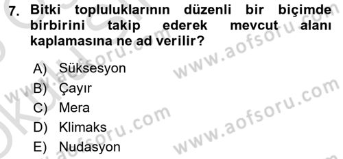 Ekoloji ve Çevre Bilgisi Dersi 2024 - 2025 Yılı Yaz Okulu Sınav Soruları 7. Soru