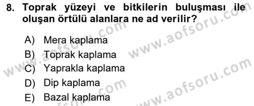 Ekoloji ve Çevre Bilgisi Dersi 2024 - 2025 Yılı Yaz Okulu Sınav Soruları 8. Soru