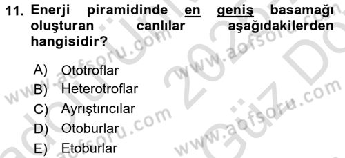 Ekoloji ve Çevre Bilgisi Dersi 2025 - 2026 Yılı (Vize) Ara Sınav Soruları 11. Soru