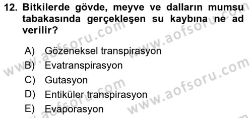 Ekoloji ve Çevre Bilgisi Dersi 2025 - 2026 Yılı (Vize) Ara Sınav Soruları 12. Soru