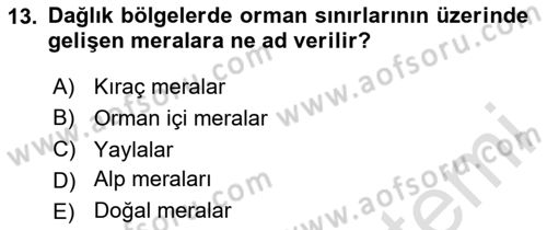 Ekoloji ve Çevre Bilgisi Dersi 2025 - 2026 Yılı (Vize) Ara Sınav Soruları 13. Soru
