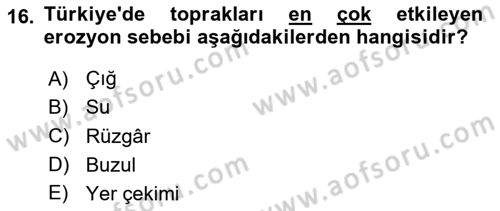 Ekoloji ve Çevre Bilgisi Dersi 2025 - 2026 Yılı (Vize) Ara Sınav Soruları 16. Soru