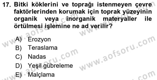 Ekoloji ve Çevre Bilgisi Dersi 2025 - 2026 Yılı (Vize) Ara Sınav Soruları 17. Soru