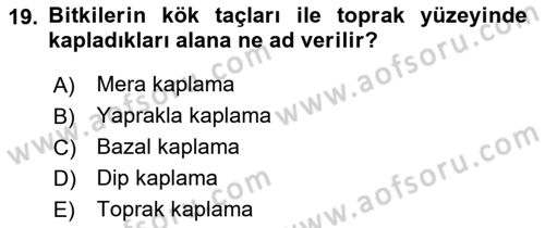 Ekoloji ve Çevre Bilgisi Dersi 2025 - 2026 Yılı (Vize) Ara Sınav Soruları 19. Soru