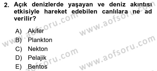 Ekoloji ve Çevre Bilgisi Dersi 2025 - 2026 Yılı (Vize) Ara Sınav Soruları 2. Soru
